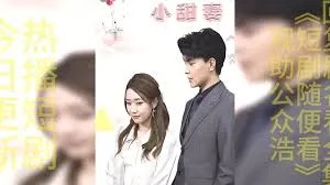 关键词优化 | 命定小甜妻观看与解析