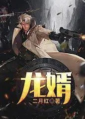 护花龙婿：浪漫爱情与情感深度